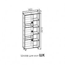 Шкаф-стеллаж для книг ШК "Смарти"